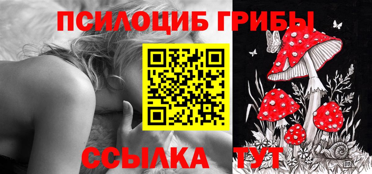 Свободный  Галлюциногенные грибы прущие грибы  Псилоцибиновые грибы Psilocybe  Вход с VPN 